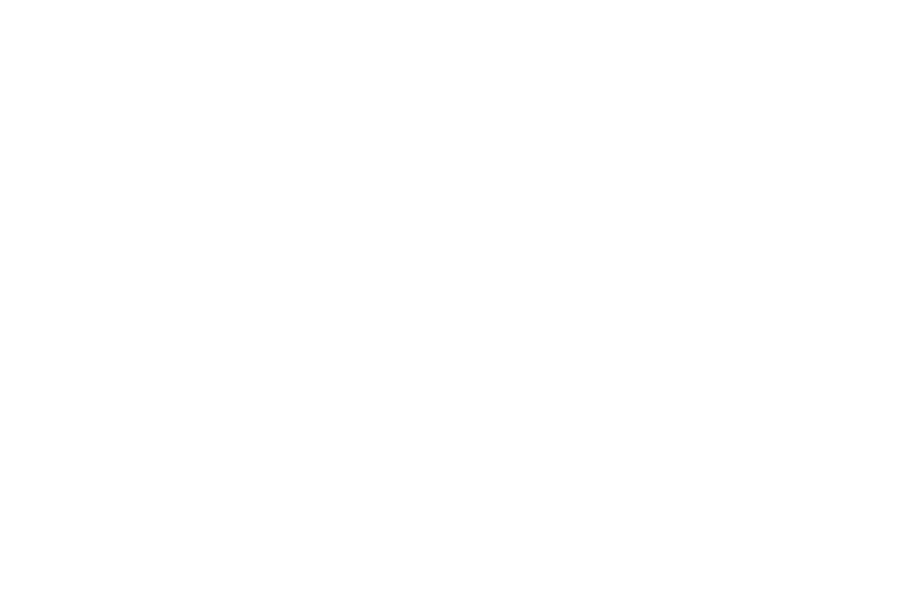 Hamilton City Council